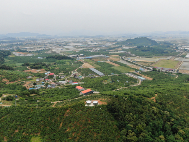 올해 마무리된 창원 단감전문생산단지. 창원시 제공
