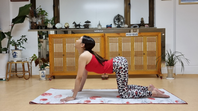 고양이 자세는 목과 어깨의 유연성을 증진하고 허리 트러블은 완화하며 소화기 계통 질환에도 도움이 된다. 온몸 스트레칭으로 얻은 근육의 유연성은 심리적인 유연성으로도 이어진다. 시연 김이림.