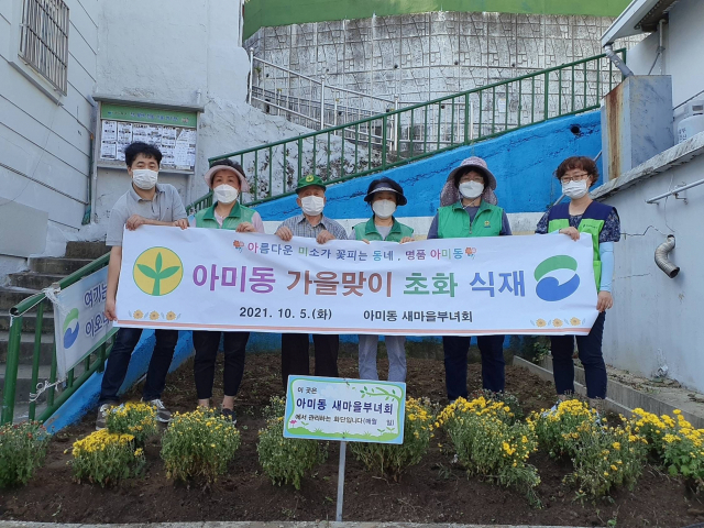 아미동 새마을부녀회, 초화 식재