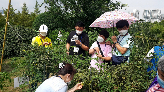 김한민 씨와 정재욱 씨가 부산 남구 유엔기념공원에서 열린 장애인자립생활센터 프로그램에 참여하고 있다. 함세상장애인자립센터 제공