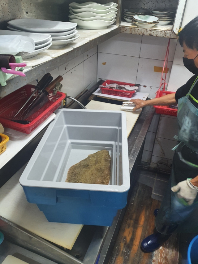 물차 없이 수송됐지만 6시간 뒤까지 살아있는 광어. 동명대 제공