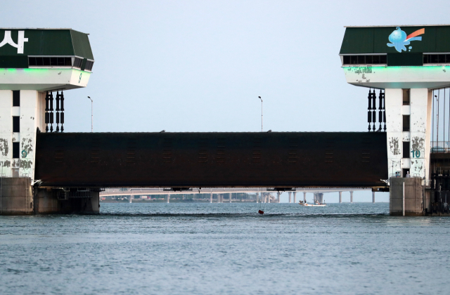 낙동강 하굿둑 3차 개방 모니터링에서도 염분 피해는 발생하지 않았던 반면, 생태 복원 효과는 상당한 것으로 확인됐다. 지난해 6월 4일 오후 부산 사하구 낙동강 하굿둑 9번 수문이 실증실험을 위해 열려 있다. 연합뉴스