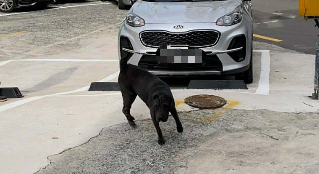 부산경찰청 제공