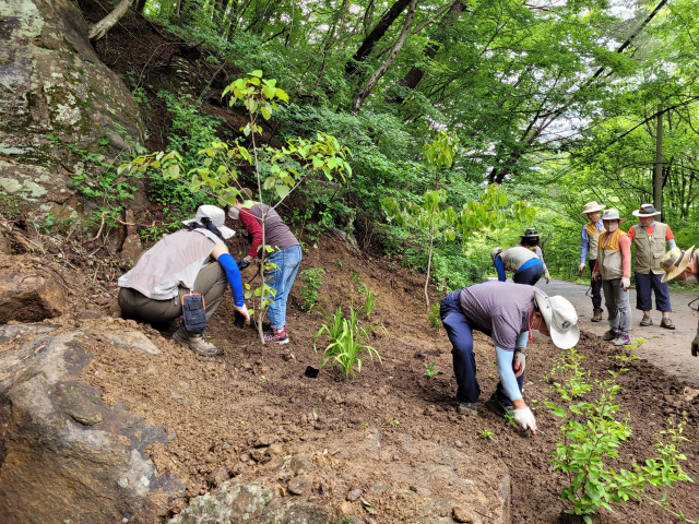 지리산국립공원 직원들이 훼손된 자연 식생을 되살리기 위해 자생식물을 심고 있다. 지리산국립공원 제공