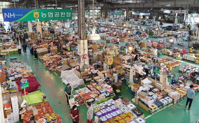 부산의 농협 반여공판장이 농산물 도매시장 평가에서 최우수 기관으로 뽑혔다. 사진은 반여공판장 모습. 농협 제공