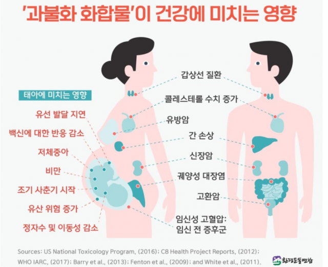 환경운동연합 제공