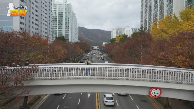블로거의 말처럼 이 다리 밑에 비밀 연구소가 있었을까? 암호를 외쳤지만 아무 일도 일어나지 않았다.