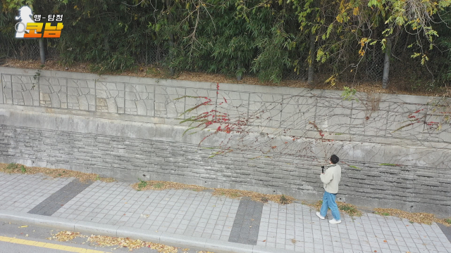 송정터널 아래 문제의 문구를 찾기 위해 옹벽을 뒤졌다.