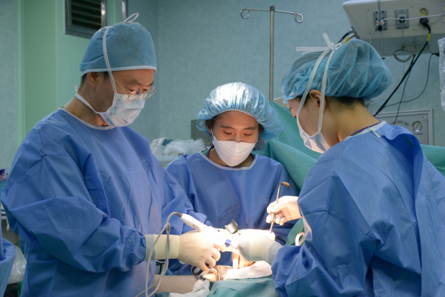 우리나라 여성 16명 중 1명 꼴로 걸리는 유방암은 환자의 생존율이 높지만, 재발률 또한 높아 치료와 관리가 특히 중요한 병이다. 부산백병원 제공