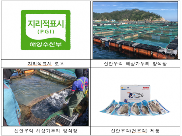 국립수산물품질관리원은 전남 신안군에서 조피볼락(우럭)을 생산하는 양식 단체인 사단법인 신안군우럭양식협회의 ‘신안우럭(건우럭)’을 수산물 지리적표시 제27호로 등록했다고 10일 밝혔다. 수품원 제공