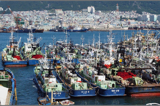 연근해 어선들이 월명기를 맞아 출어를 하지 않은 채 부산공동어시장 앞을 빼곡하게 메운 모습. 부산일보 DB