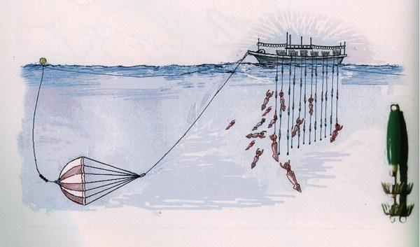 오징어 채낚기 어업은 오징어가 불빛에 잘 모이는 습성을 이용해 집어등을 밝게 비춰 낚싯줄을 채어 낚는 방식입니다. 부산일보 DB