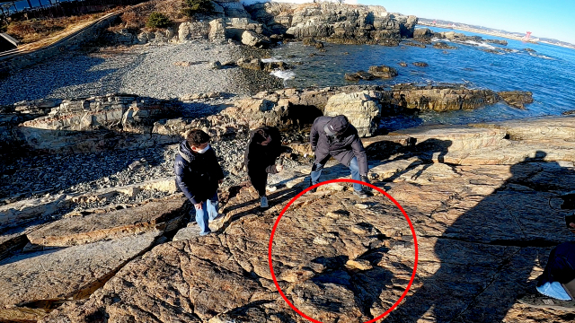 공룡 보행렬이 발견된 기장군 신평소공원 갯바위.