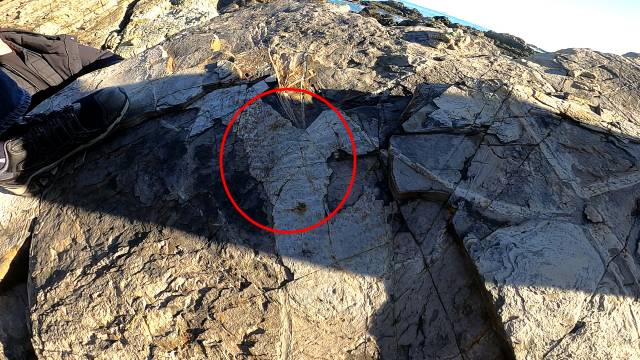 신평소공원 인근 갯바위 곳곳에 남은 물결 무늬 화석 중 하나.