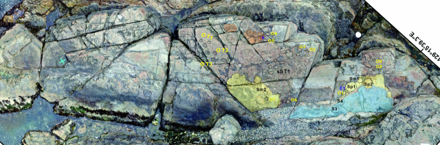 신평소공원 주변 갯바위에 있는 공룡 발자국 위치도.