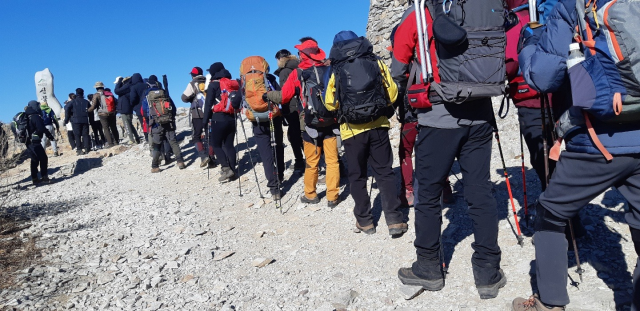 영남알프스 9봉 인증 사업에 참여한 등산객들. 울주군 제공