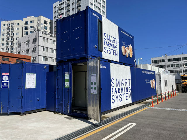 도시농사꾼의 스마트팜 단지