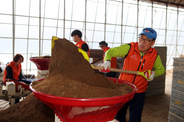 강원랜드 임직원들이 2019년에 고성 산불피해 농가에서 봉사활동을 펼치는 모습. 강원랜드 제공