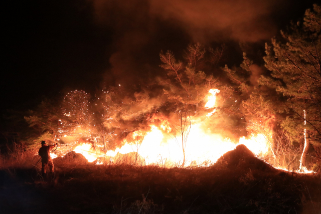 지난 4일 강릉시 옥계면에서 발생한 산불. 연합뉴스