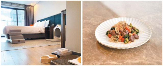 해운대 영무파라드 호텔이 18일부터 반려견 동반 객실을 확장해 운영한다. 사진은 왼쪽부터 반려견 동반객실과 26층 반려견 동반 레스토랑의 새로운 메뉴인 ‘펫안심 찹스테이크’. 영무파라드 호텔 제공