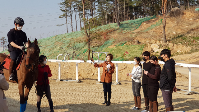 지난해 3월 두잉대학의 시범 운영을 앞두고 부산의 한 승마장에서 승마 실습을 하고 있는 동명대 학생들. 동명대 제공