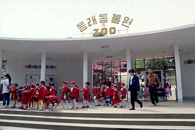 동래동물원은 어린이집, 유치원, 초등학교의 단골 소풍장소이기도 했습니다. 사진은 1982년 동래동물원을 찾은 어린이들. 부산일보 DB