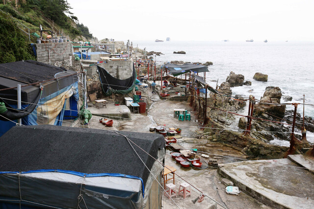 2015년 7월 부산 영도구 동삼동 해녀촌의 모습. 영도해녀문화전시관이 지어지기 전까지 이곳에서 장사를 하기도 했다. 부산일보DB