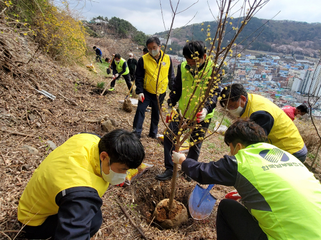 한국남부발전 부산빛드림본부가 최근 부산 사하구 감천2동 옥녀봉 탐방로 일원에서 식목행사 및 청렴캠페인을 진행하고 기념촬영을 하고 있다. 남부발전 제공