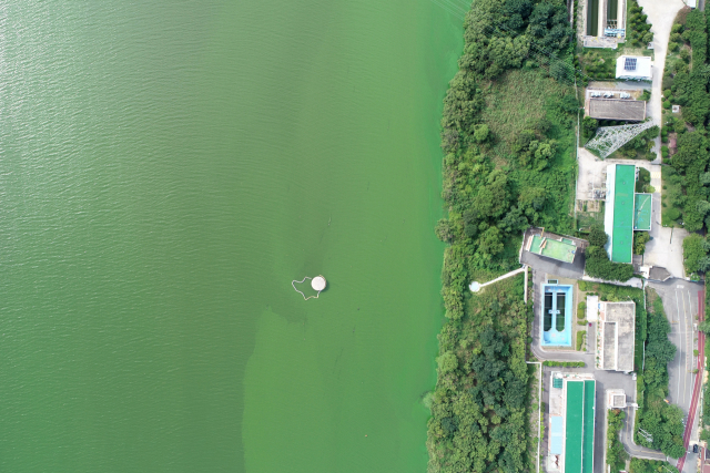 낙동강 원수에서 기준치 이하의 발암물질이 검출돼 시민의 염려가 커지고 있다. 사진은 2018년 경남 양산시 물금읍 물금취수장 앞 낙동강이 녹색으로 변해 있는 모습. 김경현 기자 view@