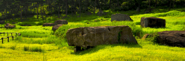사진은 전북 고창군 '고인돌. 고창군 제공