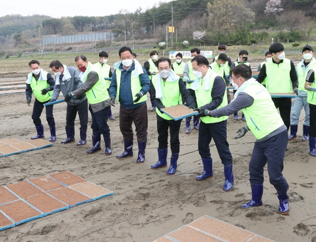 이성희(오른쪽 세번째) 농협중앙회장은 18일 충남 보령 주산농협 관내 육묘장에서 실시한 '범농협 영농지원 전국동시 발대식'에서 어기구(오른쪽 네번째), 홍문표(오른쪽 다섯번째) 국회의원 등과 모판을 옮기며 농촌 일손돕기를 하고 있다. 농협 제공