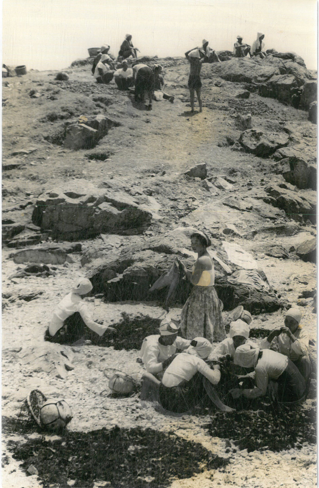 고무 잠수복을 입기 전 해녀들은 물소중이나 속곳 등을 입고 바다에 들어갔다. 이런 모습 때문에 사람들은 해녀들을 업신여기기도 했다. 부산일보DB