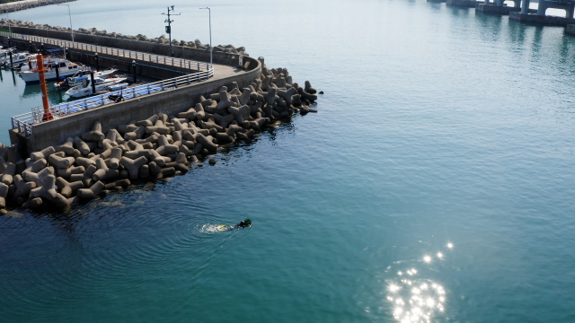 남천 해녀가 이달 3일 남천항을 벗어나 광안대교 방향으로 물질하러 가고 있다. 정수원 PD blueskyda2@busan.com