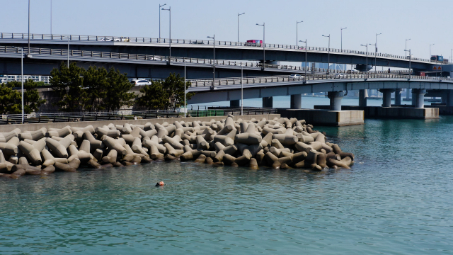 남천 해녀가 이달 3일 광안대교 옆 방파제 주변을 오가며 물질하고 있다. 정수원 PD blueskyda2@busan.com