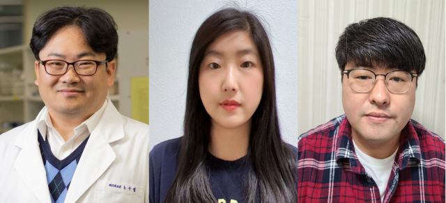 경상국립대 의과대학 해부학교실 노구섭 교수와 김경은·이재웅 박사 연구팀. 경상국립대 제공