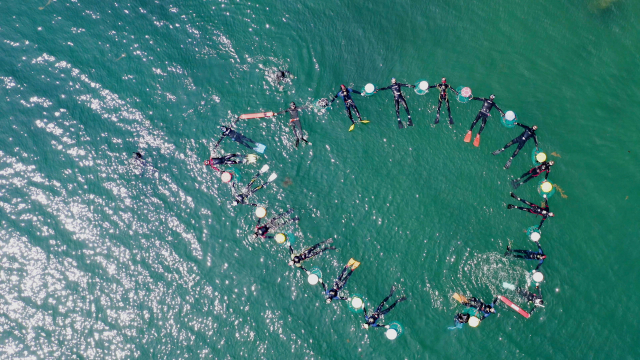 거제시 가조도 진두항 앞바다에서 '예비 해녀'들이 거제해녀아카데미 입문반 교육을 듣고 있다. 정수원·정윤혁 PD jyh6873@