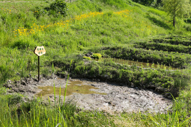 통영시지속가능발전교육재단(RCE) 세자트라숲 다랑논 귀퉁이에 마련된 멧돼지 쉼터. 통영RCE 제공