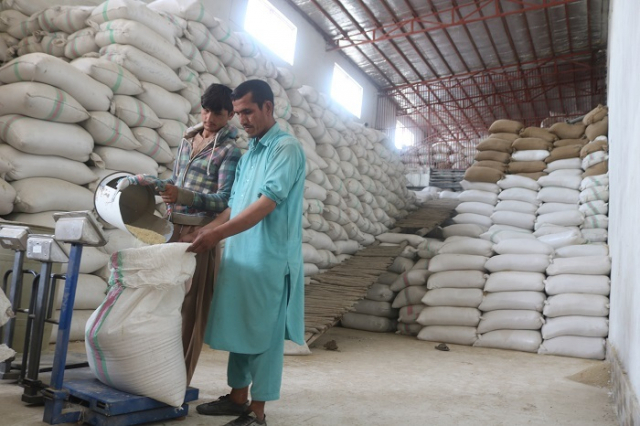 아프가니스탄 노동자들이 쿤두즈 주에 있는 곡물 가공 공장에서 일하고 있는 모습. 세계곡물가격 상승으로 아프가니스탄은 극심한 식량 부족에 직면해 있다. 연합뉴스