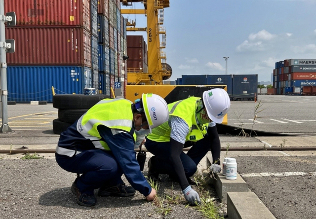 인천항만공사(IPA)가 민관공 합동으로 붉은불개미 방제활동을 펼치고 있다. IPA 제공