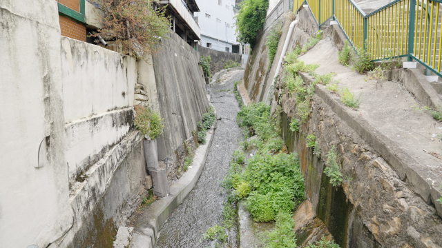 복개 사업 탓에 예전 모습은 찾기 어렵지만, 지금도 마을을 가로질렀던 냇가의 흔적이 남아 있습니다.