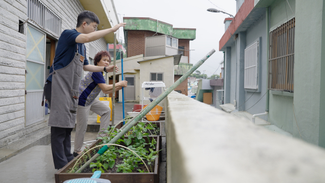 언제나 햇살이 잘 드는 산복도로 마을에는 어머님, 아버님 할 것 없이 마당이나 옥상에 각자의 텃밭을 가꾸신답니다. 우리도 빨래방 앞에 상추, 고추, 방아 등을 키우는 작은 행복을 누려보겠습니다.