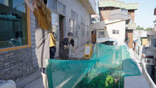 화단 위 그물망을 튼튼히 설치하고, 고양이에게 전용 화장실을 만들어주고 나서야 빨래방 앞마당에 평화가 찾아왔습니다. 비록 '고양이 vs 텃밭'의 승부는 고양이의 승리로 끝이 났지만, 결국 함께 살아갈 수 있게 됐습니다.