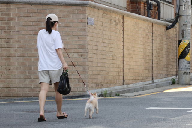 반려동물과 장애인 보조견 등을 압류 등 강제집행 대상에서 제외하는 방안이 추진된다. '동물등록 자진신고 기간' 첫날인 지난 1일 서울 서초구의 한 주택가에서 한 시민이 반려견과 함께 이동하고 있다. 연합뉴스