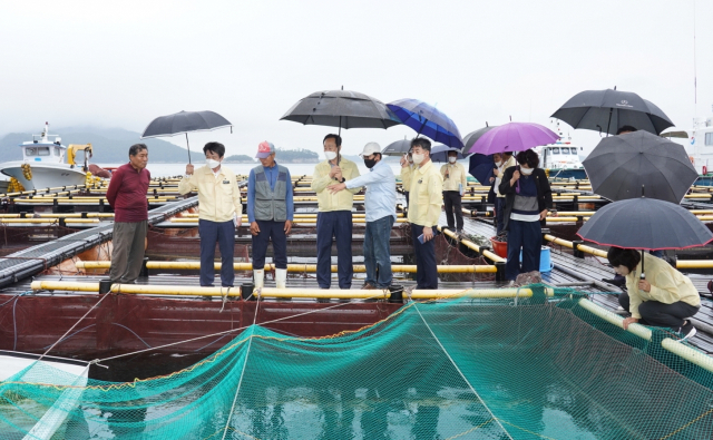 천영기 통영시장은 8일 욕지도 인근 해상 가두리 양식장을 찾아 고수온, 적조 대응 상황을 점검했다. 통영시 제공