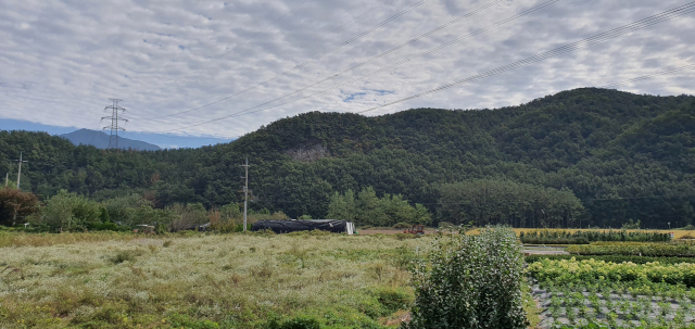 행정타운이 들어서는 예정지 전경. 김태권 기자