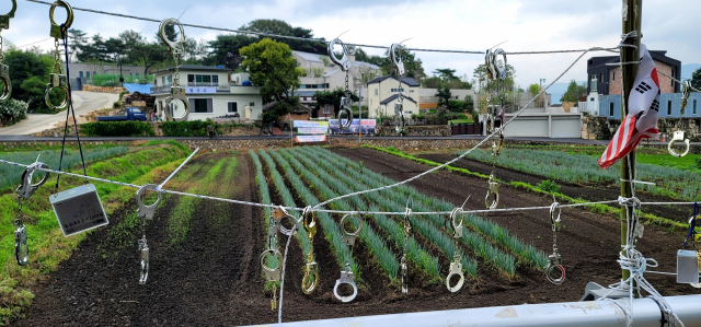 시위자가 설치한 수갑 뒤쪽에 문재인 전 대통령 사저가 보인다. 김태권 기자