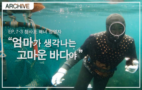 [부산숨비] “엄마가 생각나는 고마운 바다야”… 청사포 해녀 정영자 이야기 #7-3