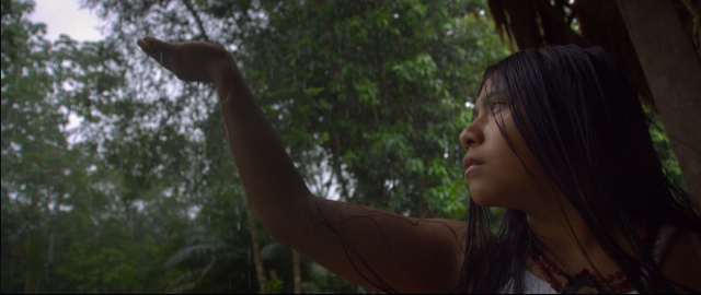 '하나뿐인 지구영상제' 개막작 '모든 것의 모든 것' 스틸 컷. (사)자연의권리찾기 제공