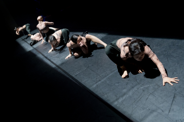 ‘(+82)그대, 안녕하십니까?’. 현대무용단 자유 제공