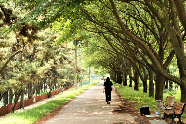 삼문 둔치공원 산책로.